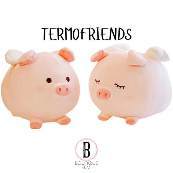 Termofriend